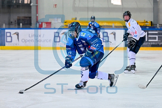 Eishockey, Herren, U20 DNL, Saison 2025-2026, Viertelfinale - Spiel 2, ERC Ingolstadt - ESC Dresden, 08.03.2026
