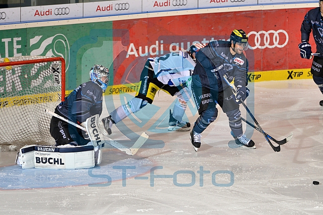 ERC Ingolstadt vs Schwenninger Wild Wings, Eishockey, DEL, Deutsche Eishockey Liga, 22.01.2016