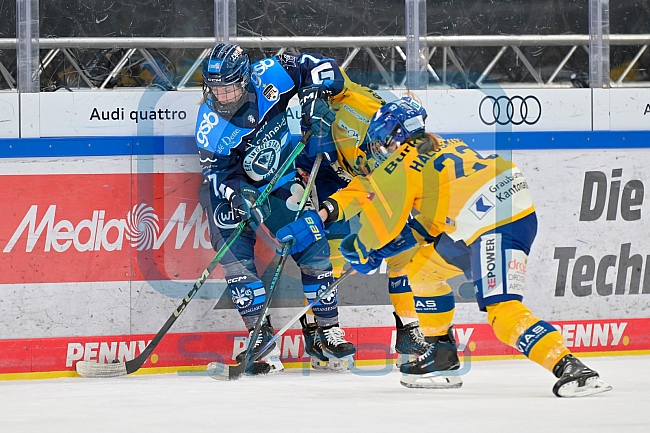 Eishockey, Frauen, DFEL, Saison 2025-2026, Testspiel, ERC Ingolstadt - HC Davos, 14.02.2026