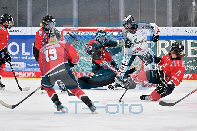 Eishockey, Frauen, EWHL Euro Cup, Saison 2025-2026, Finale, HK Budapest - ECDC Memmingen Indians, 19.10.2025