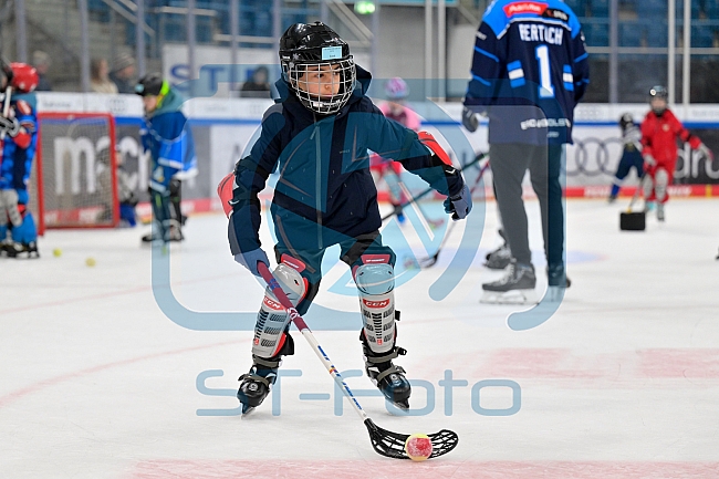 Eishockey, Saison 2025-2026, ERC Ingolstadt - Kids On Ice Day, 10.01.2026