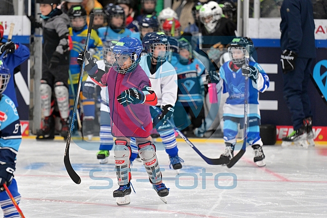 Eishockey, Herren, DEL, Saison 2023-2024, ERC Ingolstadt - Kids on Ice Day, 18.11.2023