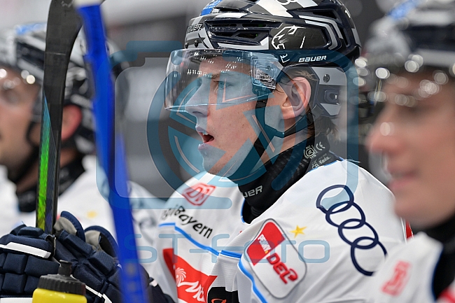 Eishockey, Herren, DEL, Saison 2024-2025, Vorbereitung, ERC Ingolstadt - Dresdner Eislöwen, 18.08.2024