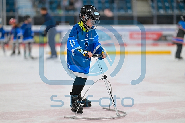 Eishockey, Herren, DEL, Saison 2024-2025, ERC Ingolstadt - Kids On Ice Day, 21.09.2024