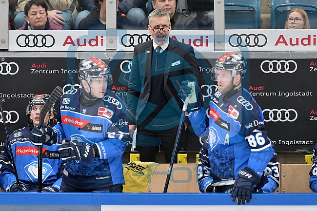 Eishockey, Herren, DEL, Saison 2023-2024, PrePlayoffs - Spiel 1, ERC Ingolstadt - Kölner Haie, 10.03.2024