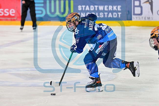 Eishockey, Frauen, DFEL, Saison 2024-2025, ERC Ingolstadt - HK Budapest Roster, 12.01.2025