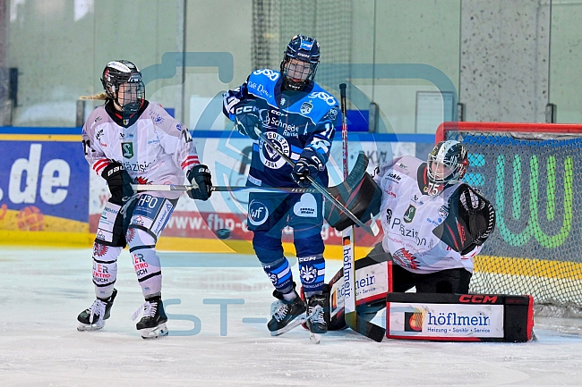 Eishockey, Frauen, DFEL, Saison 2025-2026, Playoffs Halbfinale - Spiel 2, ERC Ingolstadt - HC Davos, 01.03.2026