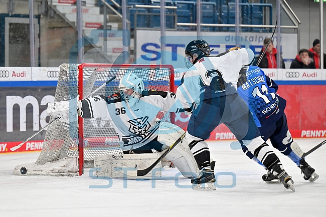 Eishockey, Frauen, DFEL, Saison 2023-2024, ERC Ingolstadt - Amsterdam Tigers, 06.01.2024