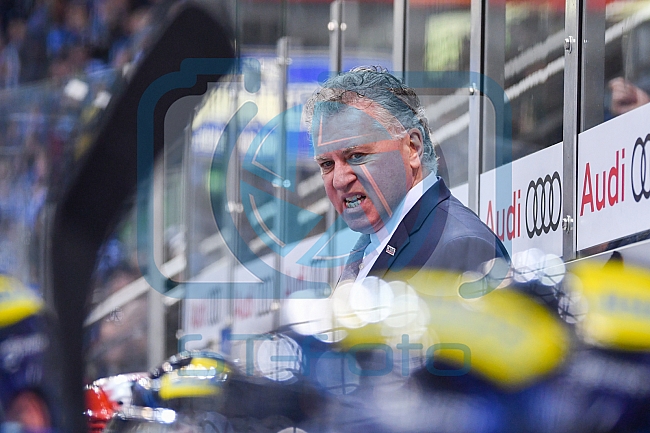 ERC Ingolstadt vs Alder Mannheim am 15.02.2019, Spieltag 32