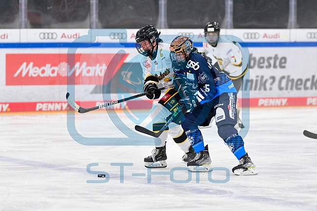 Eishockey, Frauen, DFEL, Vorbereitung, Saison 202-2025, ERC Ingolstadt - St. Pölten, 07.09.2024