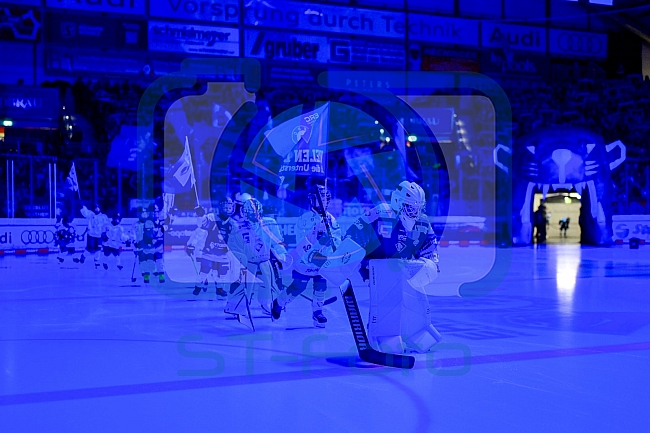 Eishockey, Herren, DEL, Saison 2025-2026, Spiel 33, ERC Ingolstadt - Grizzlys Wolfsburg, 28.12.2025