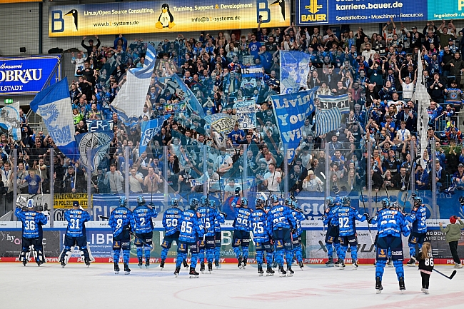 Eishockey, Herren, DEL, Saison 2025-2026, Spiel 16, ERC Ingolstadt - Kölner Haie, 31.10.2025