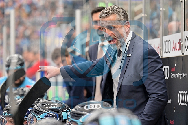Eishockey, Herren, DEL, Saison 2022-2023, Playoff-Viertelfinale - Spiel 5, ERC Ingolstadt - Düsseldorfer EG, 24.03.2023