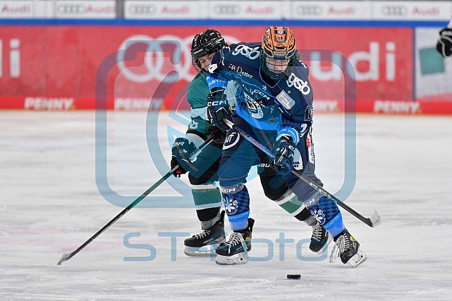 Eishockey, Frauen, European Womens Hockey League, Saison 2024-2025, ERC Ingolstadt - Lakers Kärnten, 13.09.2024