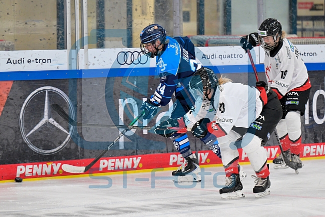 Eishockey, Frauen, DFEL, Saison 2025-2026, ERC Ingolstadt - HK Budapest, 15.11.2025