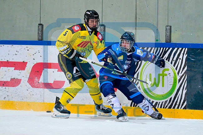 Eishockey, Herren, U20 DNL, Saison 2025-2026, Halbfinale - Spiel 2, ERC Ingolstadt - Krefelder EV 81, 15.03.2026