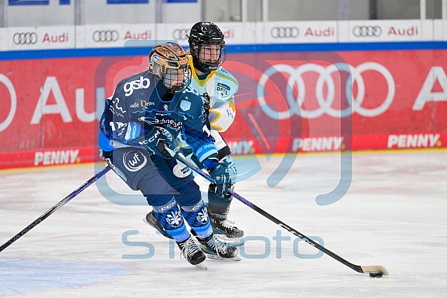Eishockey, Frauen, DFEL, Saison 2024-2025, ERC Ingolstadt - Mad Dogs Mannheim, 23.11.2024