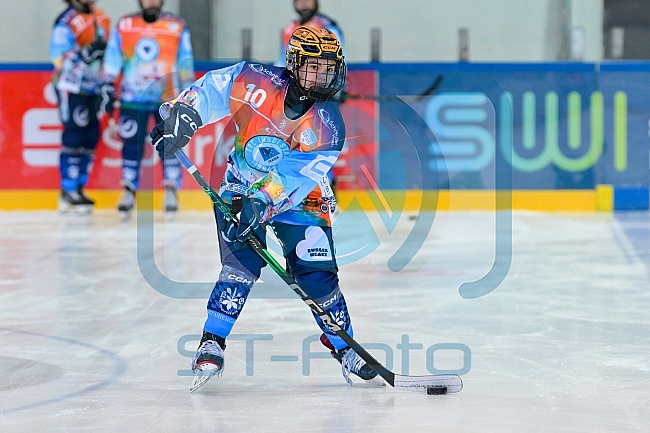 Eishockey, Frauen, DFEL, Saison 2024-2025, ERC Ingolstadt - ECDC Memmingen Indians, 19.01.2025