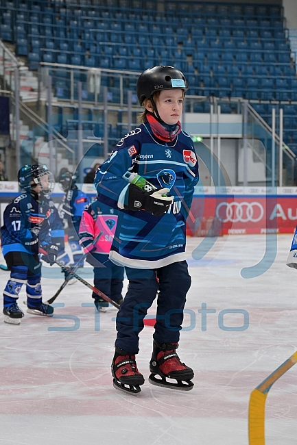 Eishockey, Herren, DEL, Saison 2024-2025, ERC Ingolstadt - Kids On Ice Day, 11.01.2025