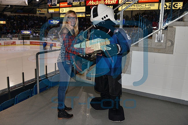 ERC Ingolstadt vs Schwenninger Wild Wings, Eishockey, DEL, Deutsche Eishockey Liga, 20.11.2015