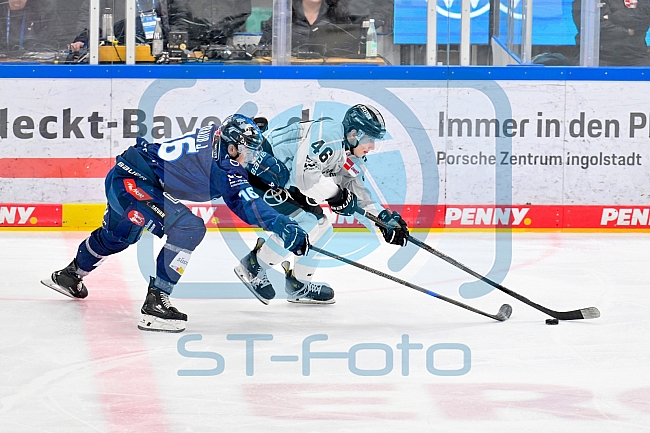 Eishockey, Herren, DEL, Saison 2024-2025, Playoffs Halbfinale, Spiel 3, ERC Ingolstadt - Kölner Haie, 06.04.2025