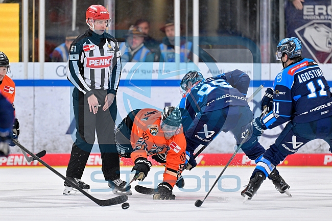 Eishockey, Herren, DEL, Saison 2025-2026, Spiel 33, ERC Ingolstadt - Grizzlys Wolfsburg, 28.12.2025