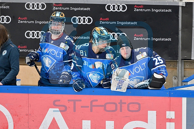 Eishockey, Frauen, DFEL, Playoffs, Finale, Spiel 3, Saison 2023-2024, ERC Ingolstadt - ECDC Memmingen Indians, 23.03.2024