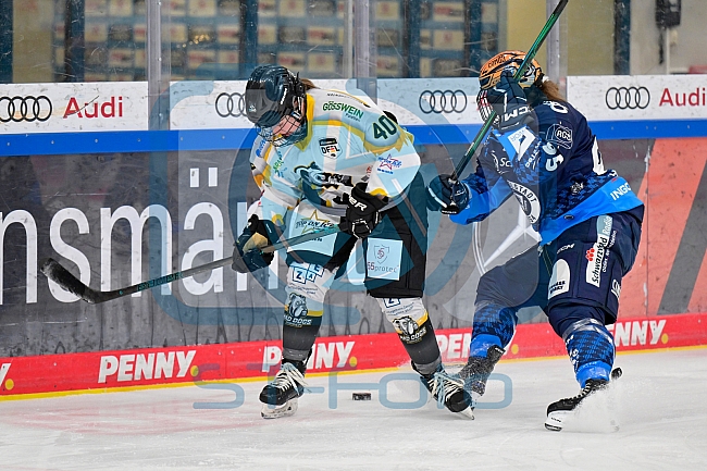Eishockey, Frauen, DFEL, Saison 2024-2025, ERC Ingolstadt - Mad Dogs Mannheim, 23.11.2024