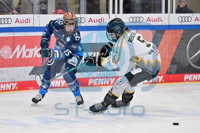 Eishockey, Frauen, DFEL, Saison 2024-2025, ERC Ingolstadt - Mad Dogs Mannheim, 23.11.2024