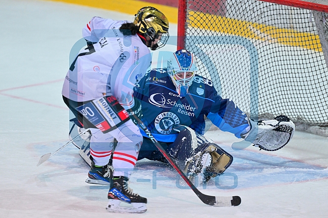 Eishockey, Frauen, DFEL, Saison 2024-2025, ERC Ingolstadt - ECDC Memmingen Indians, 19.01.2025