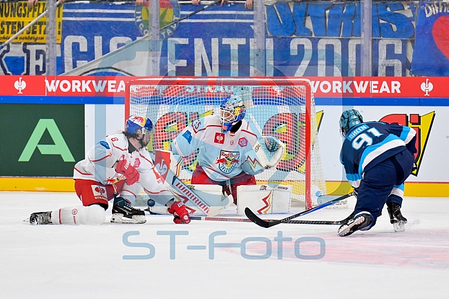 Hockey, Mens, CHL, Season 2025-2026, Regular Season, Round of 16, ERC Ingolstadt - EC Red Bull Salzburg, 12.11.2025