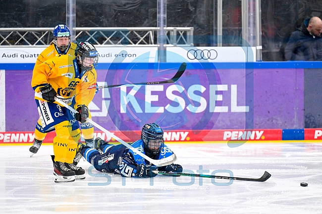 Eishockey, Frauen, DFEL, Saison 2025-2026, Testspiel, ERC Ingolstadt - HC Davos, 14.02.2026