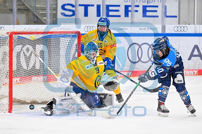 Eishockey, Frauen, DFEL, Saison 2025-2026, Testspiel, ERC Ingolstadt - HC Davos, 14.02.2026