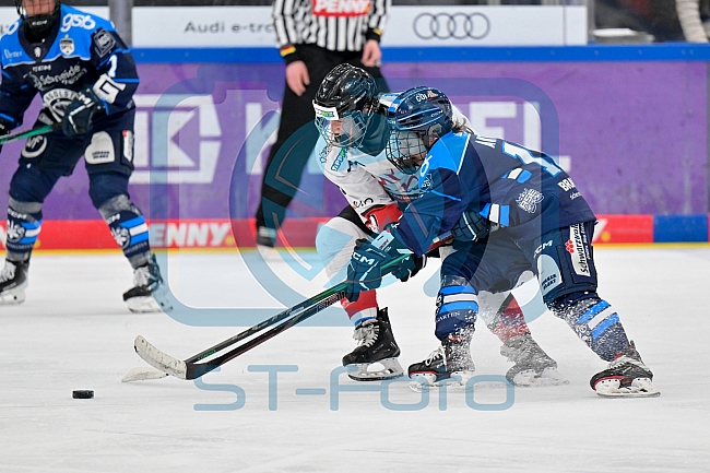 Eishockey, Frauen, DFEL, Saison 2025-2026, ERC Ingolstadt - HK Budapest, 15.11.2025