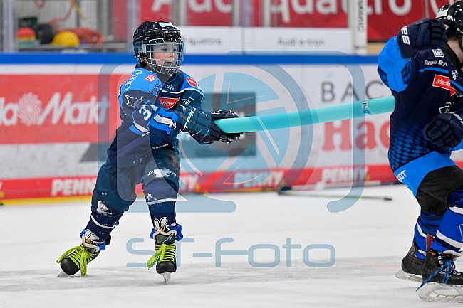 Eishockey, Saison 2025-2026, ERC Ingolstadt - Kids On Ice Day, 10.01.2026