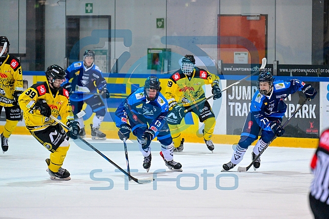 Eishockey, Herren, U20 DNL, Saison 2025-2026, Halbfinale - Spiel 2, ERC Ingolstadt - Krefelder EV 81, 15.03.2026