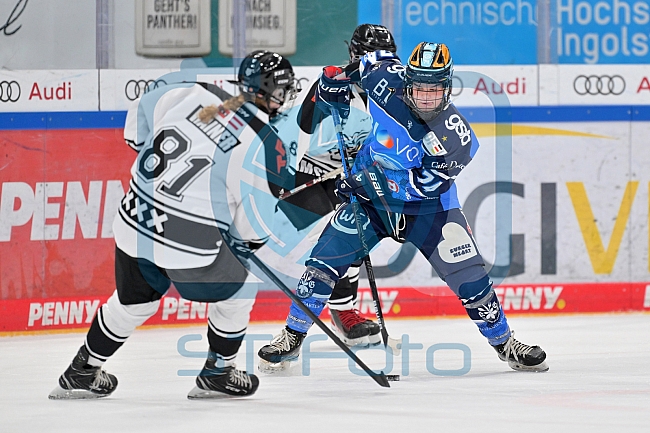 Eishockey, Frauen, DFEL, Saison 2023-2024, ERC Ingolstadt - Amsterdam Tigers, 06.01.2024