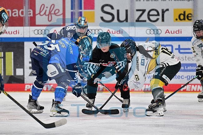 Eishockey, Frauen, DFEL, Saison 2023-2024, ERC Ingolstadt - Mad Dogs Mannheim, 18.02.2024
