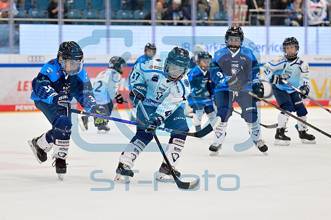 Eishockey, Herren, DEL, Saison 2025-2026, Spiel 7, ERC Ingolstadt - Straubing Tigers, 03.10.2025