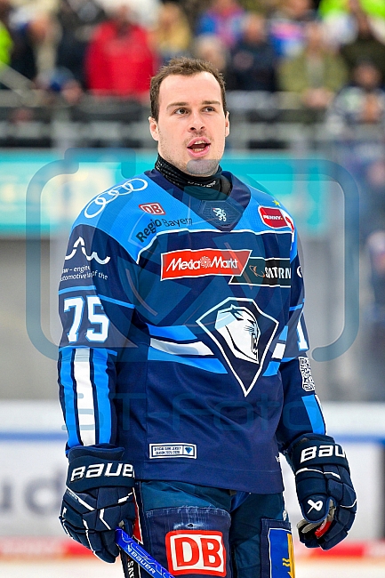 Eishockey, Herren, DEL, Saison 2025-2026, Spiel 43, ERC Ingolstadt - Schwenninger Wild Wings, 25.01.2026