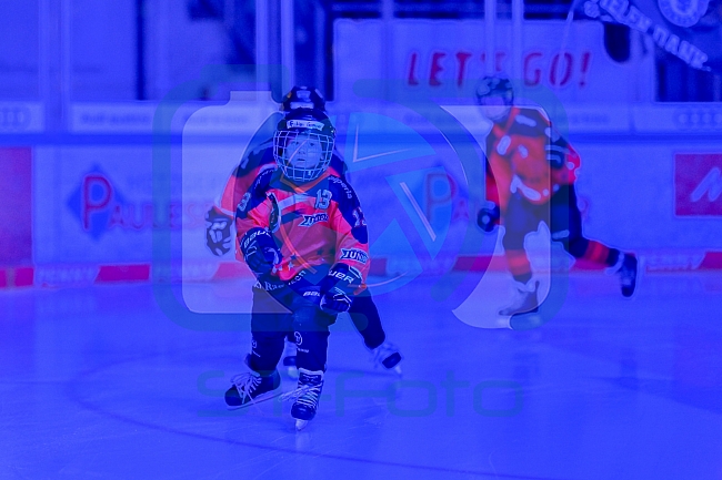 Eishockey, Herren, DEL, Saison 2025-2026, Spiel 14, ERC Ingolstadt - Adler Mannheim, 26.10.2025
