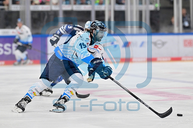 Eishockey, Herren, DEL, Saison 2024-2025, Vorbereitung, ERC Ingolstadt - Dresdner Eislöwen, 18.08.2024