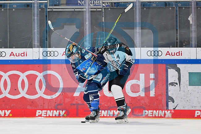 Eishockey, Frauen, DFEL, Saison 2023-2024, ERC Ingolstadt - Amsterdam Tigers, 06.01.2024