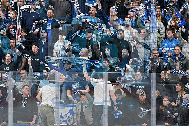 Eishockey, Herren, DEL, Saison 2025-2026, Spiel 44, ERC Ingolstadt - Dresdner Eislöwen, 27.01.2026