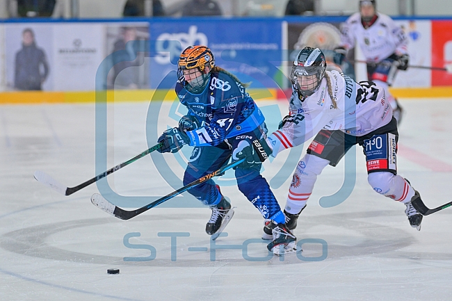 Eishockey, Frauen, DFEL, Saison 2024-2025, ERC Ingolstadt - ECDC Memmingen Indians, 19.01.2025
