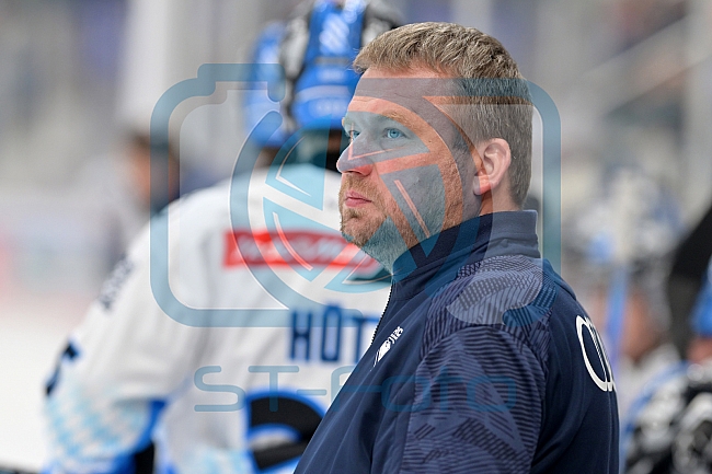 Eishockey, Herren, DEL, Saison 2024-2025, Vorbereitung, ERC Ingolstadt - Dresdner Eislöwen, 18.08.2024