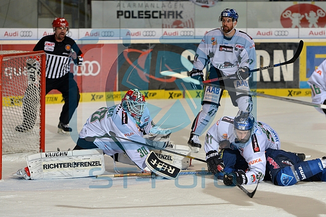 ERC Ingolstadt vs Augsburger Panther, Eishockey, DEL, Deutsche Eishockey Liga, 03.01.2016