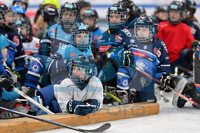 Eishockey, Herren, DEL, Saison 2024-2025, ERC Ingolstadt - Kids On Ice Day, 11.01.2025