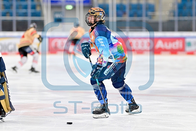 Eishockey, Frauen, DFEL, Saison 2024-2025, ERC Ingolstadt - ECDC Memmingen Indians, 16.11.2024
