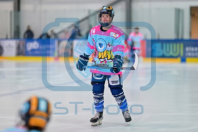 Eishockey, Frauen, DFEL, Saison 2023-2024, ERC Ingolstadt - ECDC Memmingen Indians, 21.01.2024
